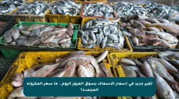 تغير جديد في أسعار الأسماك بسوق العبور اليوم.. ما سعر المكرونة المجمدة؟